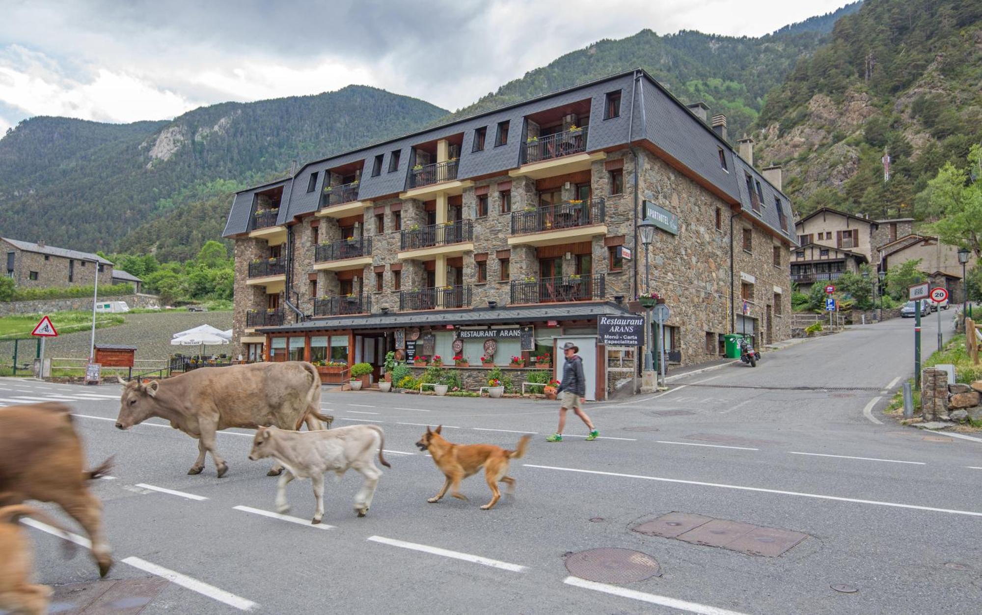 Pierre & Vacances Aparthotel La Tulipa Ordino Ngoại thất bức ảnh